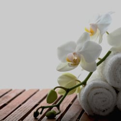 bareSkin Facials & Brows