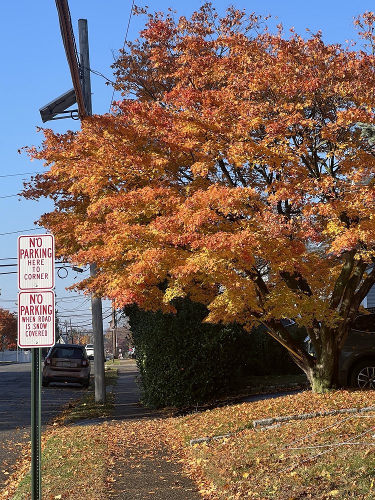 Gregory Park Logo