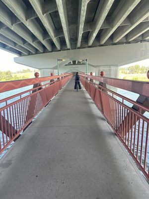 Joe’s Garage Bicycle Rental and Repair by null