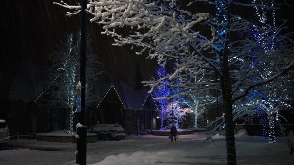 Aava Whistler Hotel by null
