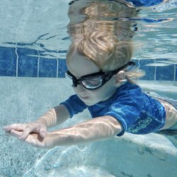 Stetson Famlee Swim School