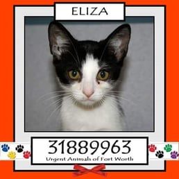They live on love.