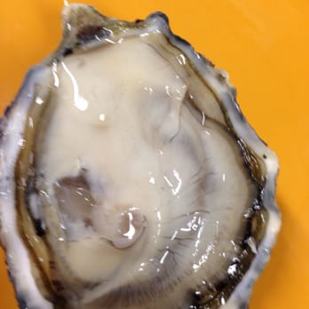 Delfino Blu - Seafood Near Me - Torino, TO Delfino Blu - Seafood Near Me - Torino, TO