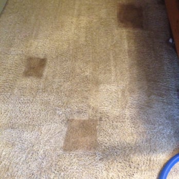 Go-Karst Carpet Care - Carpet Cleaning Near Me Go-Karst Carpet Care - Carpet Cleaning Near Me