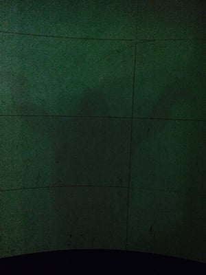 We The Curious by null