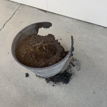 Krung Thai - Burned planter in front of restaurant - Thai Near Me - Nampa, Idaho Krung Thai - Burned planter in front of restaurant - Thai Near Me - Nampa, Idaho