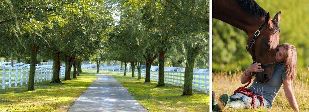 Health Management Institute - grief counselor in Tallahassee, FL