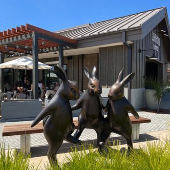 Lighthouse Coffee - Outdoor area - Coffee & Tea Near Me - Santa Barbara, California