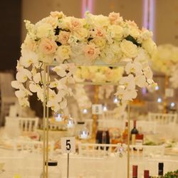 Magic Roses LA