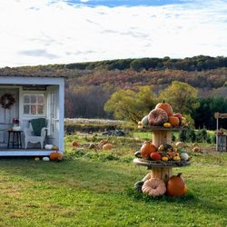 Angevine Farm - Fall display in the pumpkin patch - Perfect for family photos.
