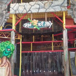 Our three story jungle