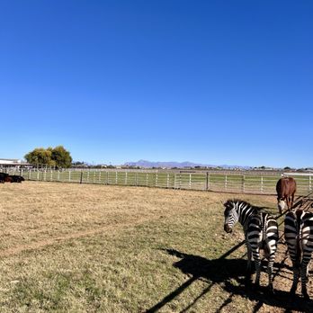 Honeybrook Farm Store - Farms Near Me - Gilbert, Arizona