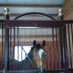 Equine Boulevard - SALES, LEASING, V.I.P.TRANSPORT, MONTH TO MONTH BOARDING, birthday and corporate parties 413-246-0680