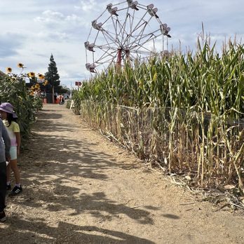 Frosty's Forest Pumpkin Patch - Ferris wheel n corn field - Attraction Farms Near Me - Chino, California Frosty's Forest Pumpkin Patch - Ferris wheel n corn field - Attraction Farms Near Me - Chino, California