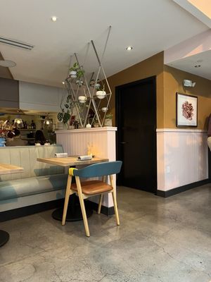 Oyster Oyster by null