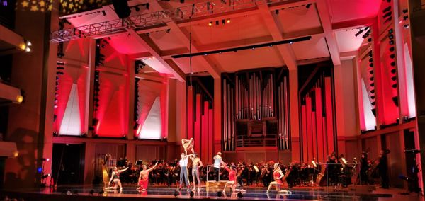 Benaroya Hall by null