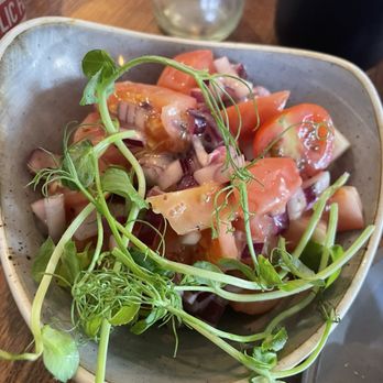 Eden - Tomato and onion only salad (not bad if you like and crave it) - Women's Clothing Near Me - Galashiels, SCB Eden - Tomato and onion only salad (not bad if you like and crave it) - Women's Clothing Near Me - Galashiels, SCB