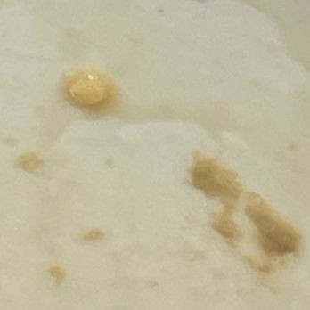 Starbucks - More mold!!! - Coffee & Tea Near Me - Kyle, Texas
