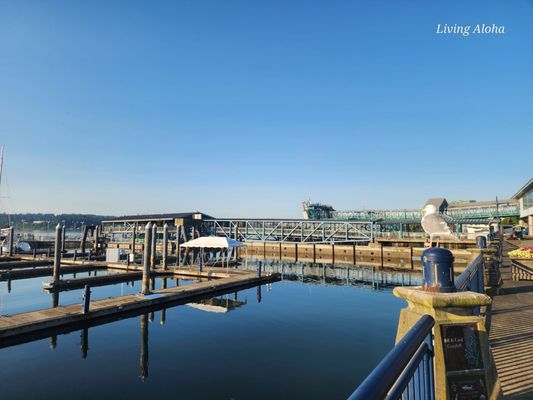 Bremerton Ferry Terminal by null