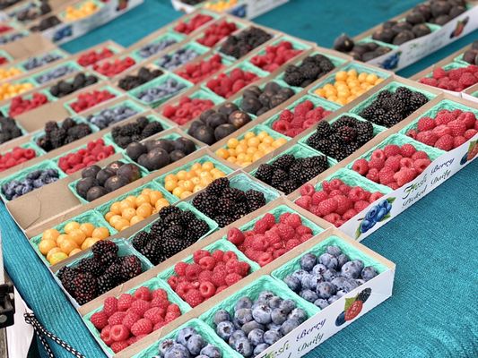 Hillcrest Farmers Market by null