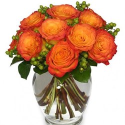 Country Lane Floral & Gift Shoppe
