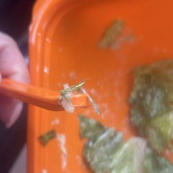 Salad and Go