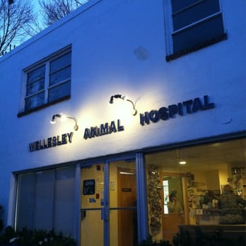 Wellesley Animal Hospital - Veterinarians Near Me - Wellesley, Massachusetts Wellesley Animal Hospital - Veterinarians Near Me - Wellesley, Massachusetts
