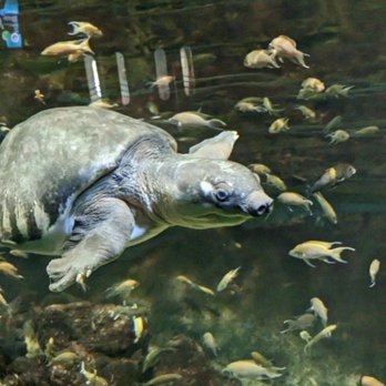 Milwaukee County Zoo - Zoos Near Me - Milwaukee, Wisconsin