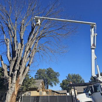 Highplains Tree Care - No job to big - Tree Services Near Me - Linwood, Kansas Highplains Tree Care - No job to big - Tree Services Near Me - Linwood, Kansas