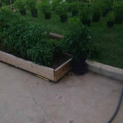 Thai Express - Pepper garden