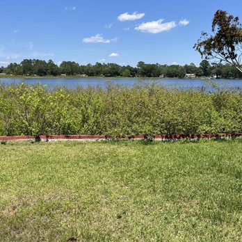 Weed Free Lakes - Before. There might be a lake there. - Landscaping Near Me - Leesburg, Florida Weed Free Lakes - Before. There might be a lake there. - Landscaping Near Me - Leesburg, Florida