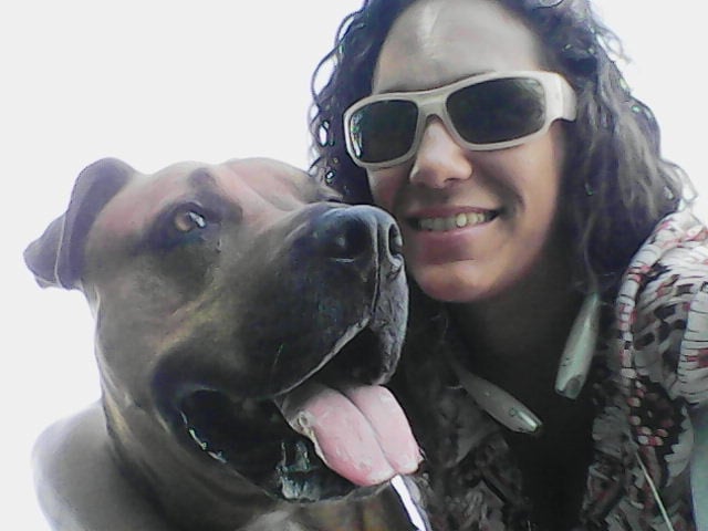 PAWS dot JESS - pet boarding facility in Orlando, FL
