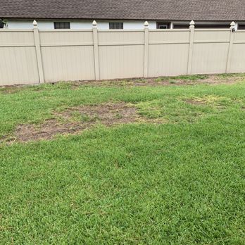 TruGreen Lawn Care - Dead patches. Speak for itself . - Lawn Services Near Me - Wayne, New Jersey TruGreen Lawn Care - Dead patches. Speak for itself . - Lawn Services Near Me - Wayne, New Jersey