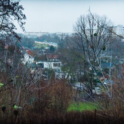 Volkspark Prenzlauer Berg