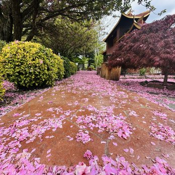 Nam-Quang Temple - Front entrance to the courtyard - Buddhist Temples Near Me - Portland, Oregon Nam-Quang Temple - Front entrance to the courtyard - Buddhist Temples Near Me - Portland, Oregon