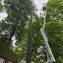 Great Falls Tree & Landscaping - Tree hung up in another tree ready to fall on house took it down without hitting the house wonderful job people happy