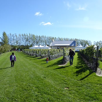 Luckett Vineyards - Great place for kids to run around - Wineries Near Me - Wolfville, Nova Scotia Luckett Vineyards - Great place for kids to run around - Wineries Near Me - Wolfville, Nova Scotia