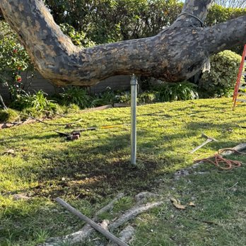 Villatoro Tree Care - We installed this little post on another branch to ensure it doesn't have any failure - Tree Services Near Me Villatoro Tree Care - We installed this little post on another branch to ensure it doesn't have any failure - Tree Services Near Me