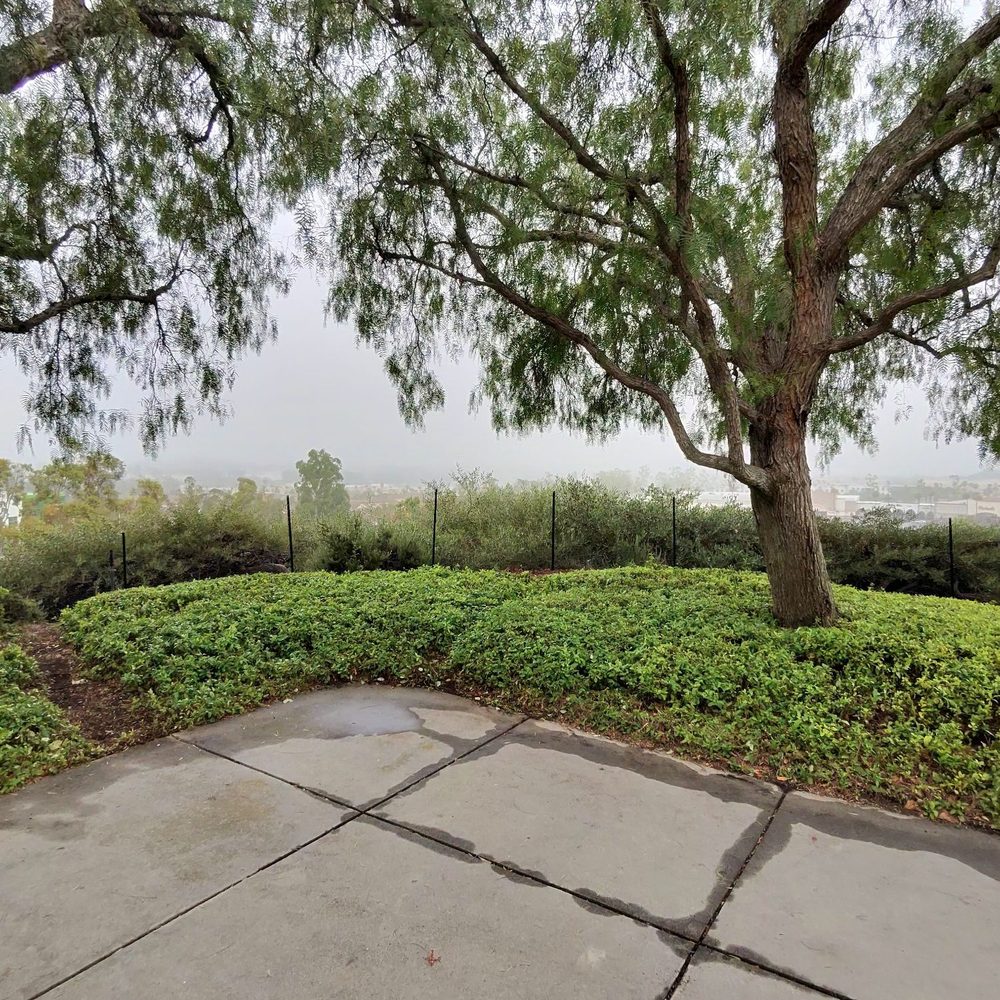 Borrego Park - Parks Near Me - Foothill Ranch, California Borrego Park - Parks Near Me - Foothill Ranch, California