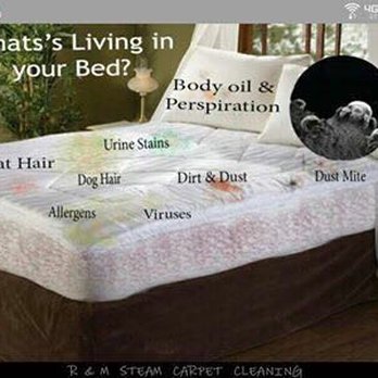 RM Steam Carpet Cleaning - LA FERIA DE LOS DESCUENTOS DE VERANO NO PIERDAS TIEMPO APARTA TU CITA HOY - Carpet Cleaning Near Me - Anaheim, California RM Steam Carpet Cleaning - LA FERIA DE LOS DESCUENTOS DE VERANO NO PIERDAS TIEMPO APARTA TU CITA HOY - Carpet Cleaning Near Me - Anaheim, California
