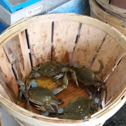 Crabdaddys in Philadelphia gift card