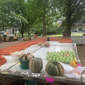 Farmer John's Market - a variety of fruits and vegetables - Farmers Market Near Me - Leesburg, Virginia Farmer John's Market - a variety of fruits and vegetables - Farmers Market Near Me - Leesburg, Virginia