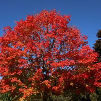 James Gardens - Parks Near Me - Toronto, Ontario