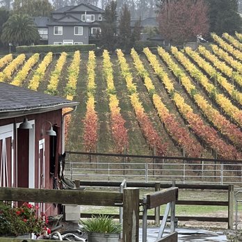 Moondance Cellars - Outside - Wineries Near Me - Sebastopol, California