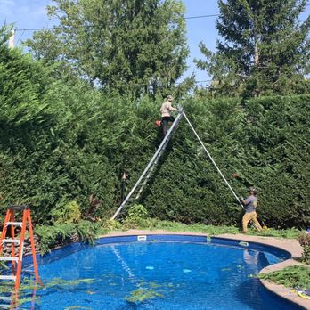 Island Greenery Masonry & Landscape - Trimming Leyland Cypress's - Nurseries & Gardening Near Me - Bellmore, New York Island Greenery Masonry & Landscape - Trimming Leyland Cypress's - Nurseries & Gardening Near Me - Bellmore, New York