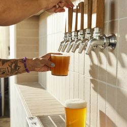 Duality Brewing