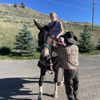 4 Bears Bed & Breakfast - George letting my daughter sit on his prize mule Buddy - Bed & Breakfast Near Me - Meeteetse, Wyoming
