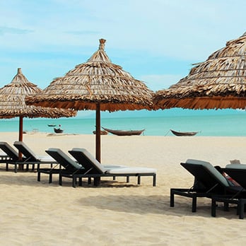 Trans Pacific Tours - Tours Near Me - Honolulu, Hawaii Trans Pacific Tours - Tours Near Me - Honolulu, Hawaii