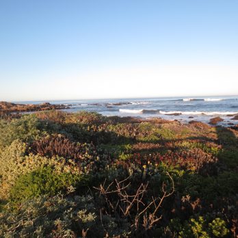 Asilomar State Beach - Parks Near Me - Pacific Grove, California Asilomar State Beach - Parks Near Me - Pacific Grove, California