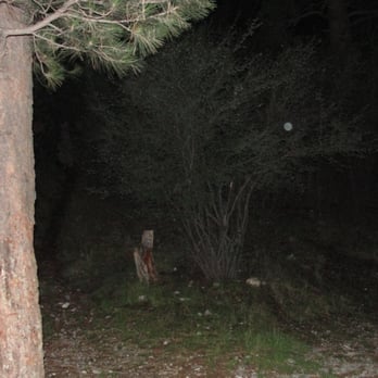 Fletcher View Campgrounds - pitch-black but the flash on my camera's real bright - Campgrounds Near Me - Las Vegas, Nevada